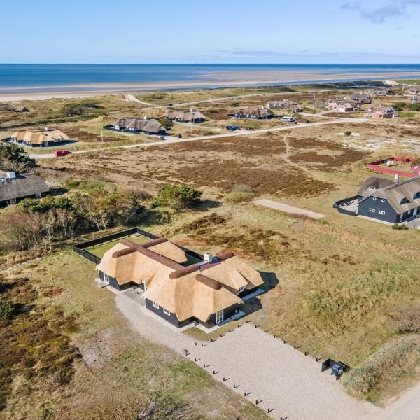 Dronefoto af feriehuse i Blåvand