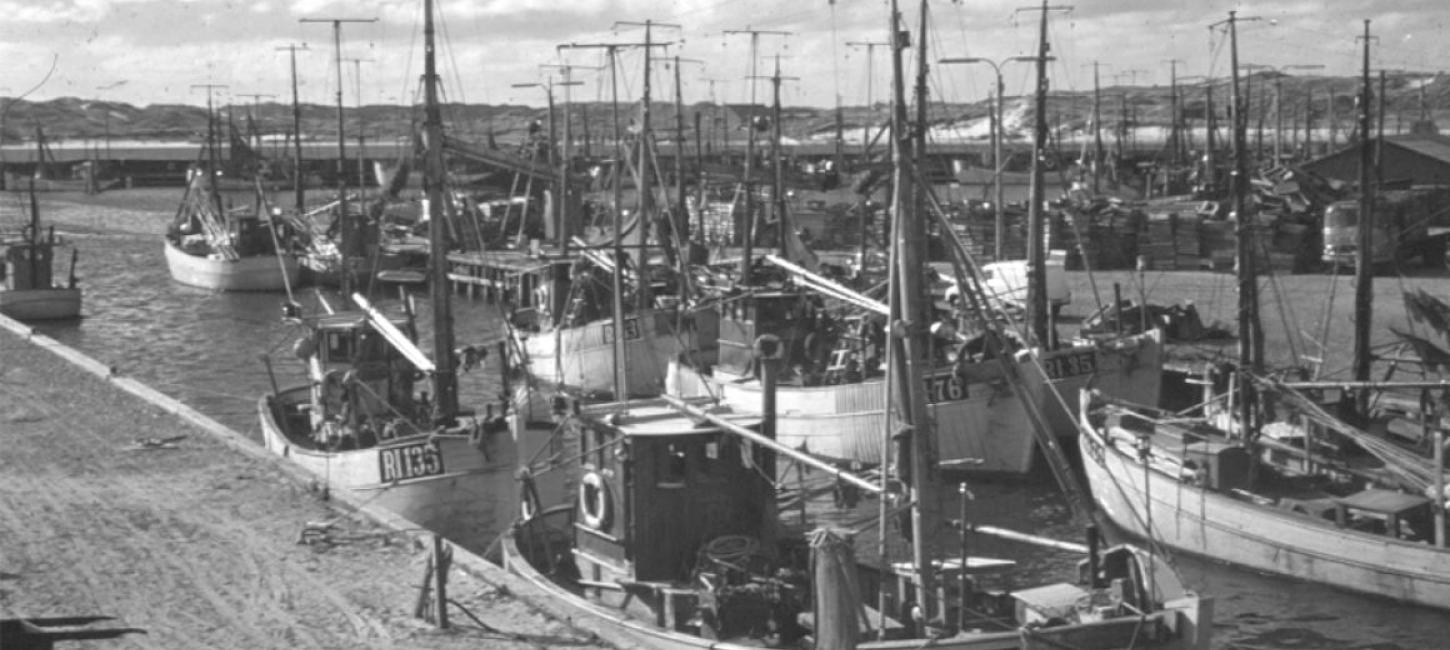 Historie om Hvide Sande Havn