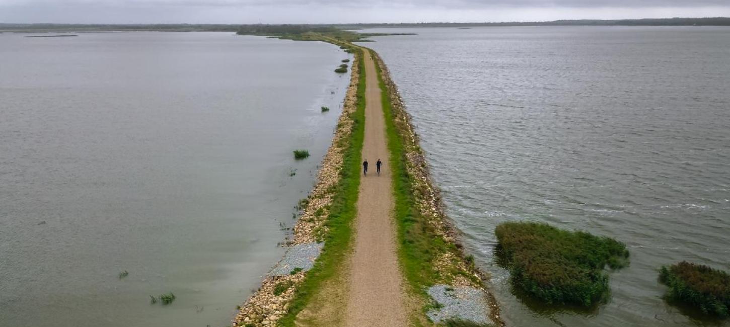 Cykeltur ved Filsø