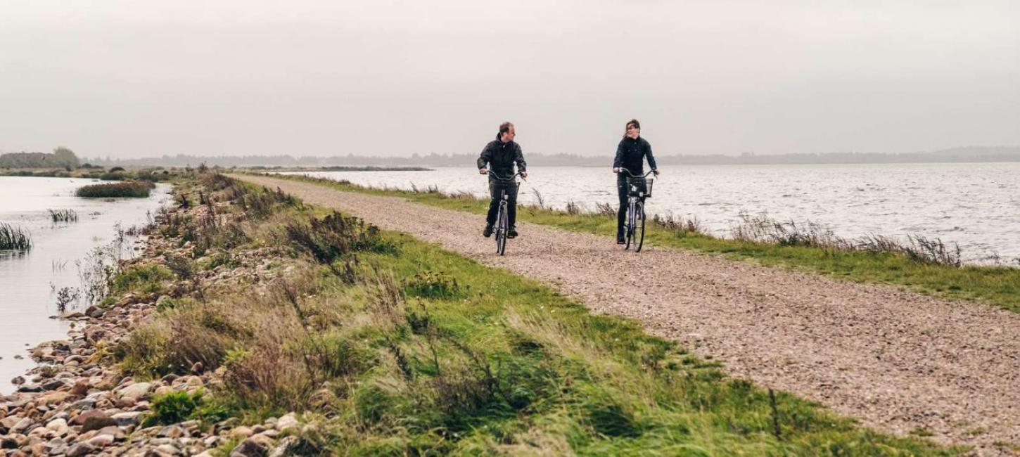 På cykel ved Filsø