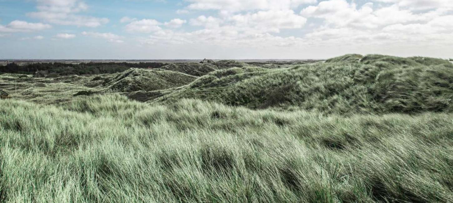  Dünen an der Nordsee