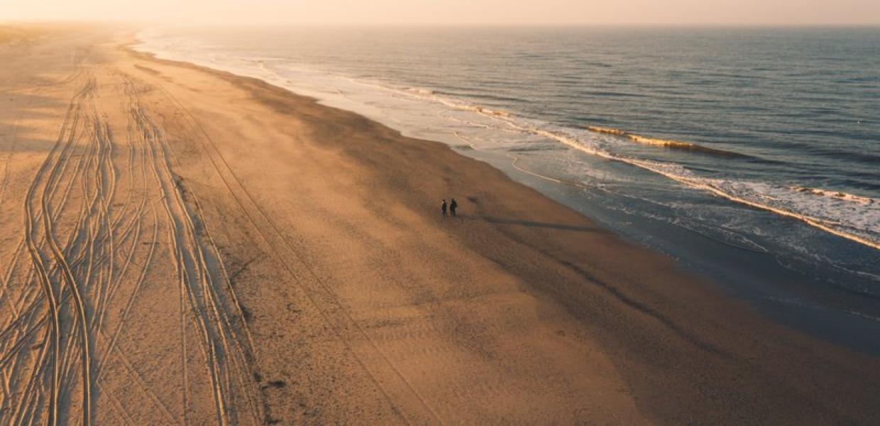 Strand overview med ravjagt