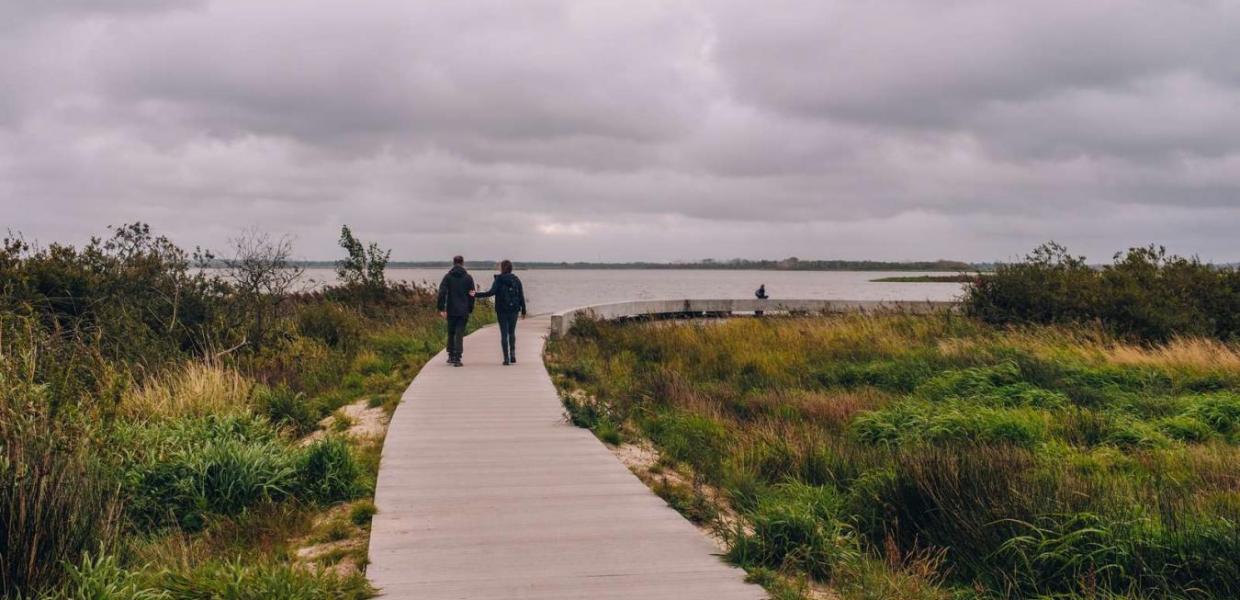 Vandretur ved Filsø