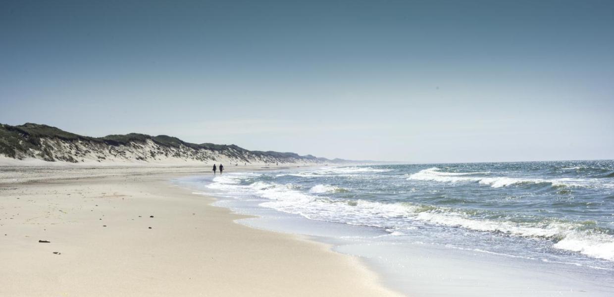 Vesterhavet - strand