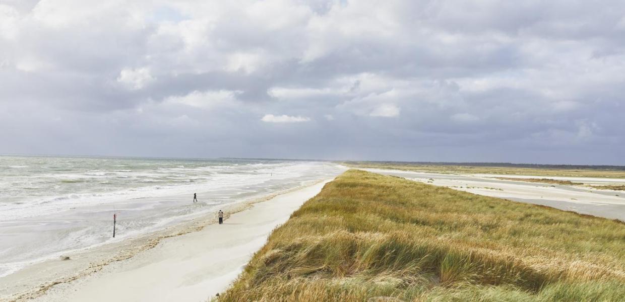 Udsigt over Skallingen og Vesterhavet