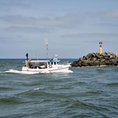 Fiskeri på havet