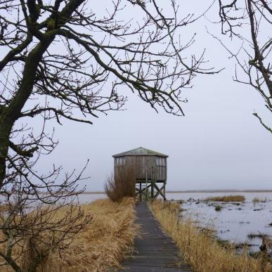 Udsigt over landskab med fugletårn ved Lønborg