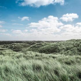  Dünen an der Nordsee