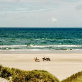 Ridning på stranden