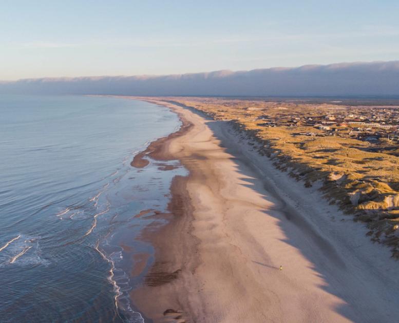 Dronefoto over hennestrand klitter og hav