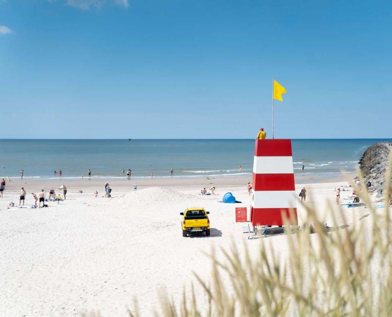Livredder ved stranden